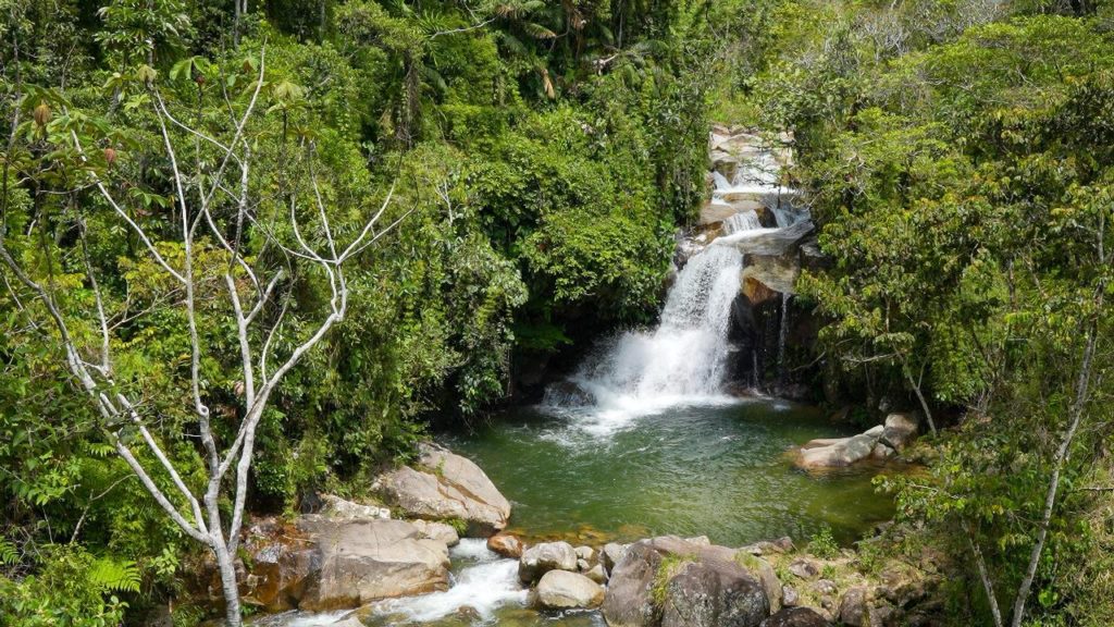 WhatsApp Image 2025 11 04 at 12.29.07 PM 2