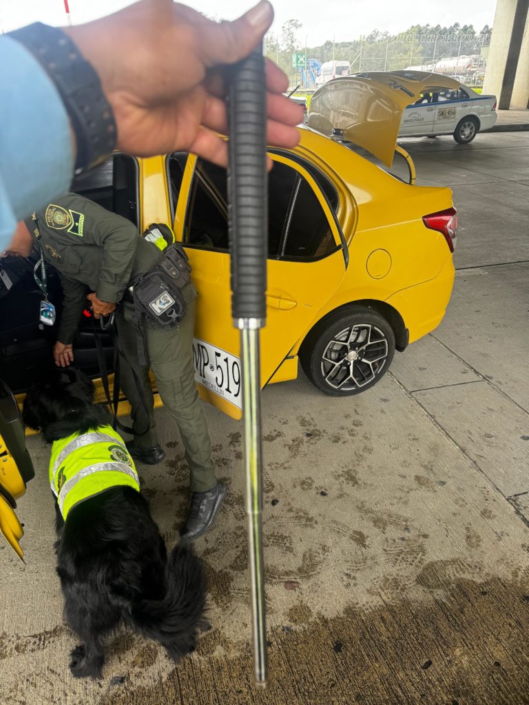 WhatsApp Image 2025 11 05 at 11.46.05