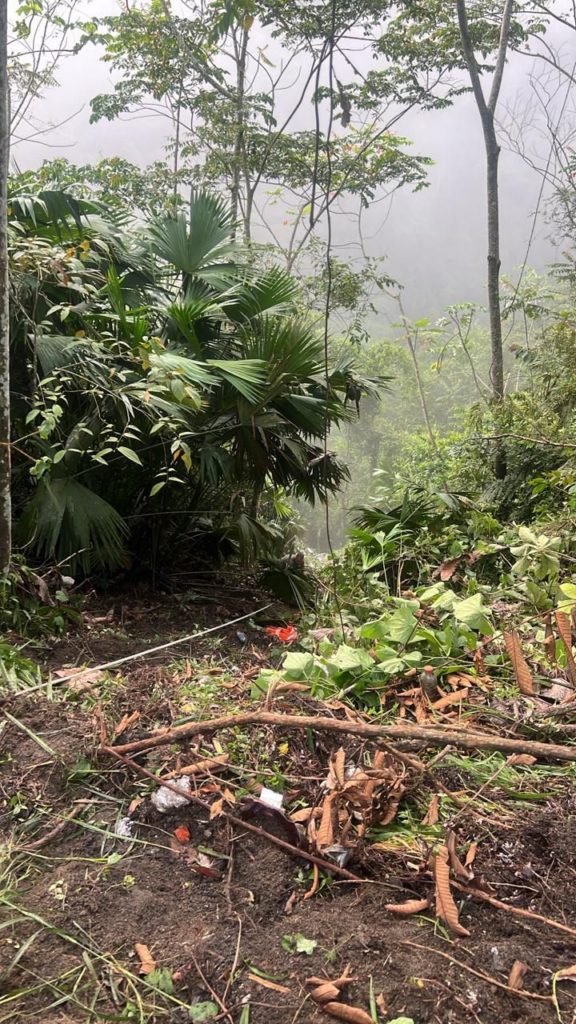 WhatsApp Image 2025 11 07 at 7.10.34 AM