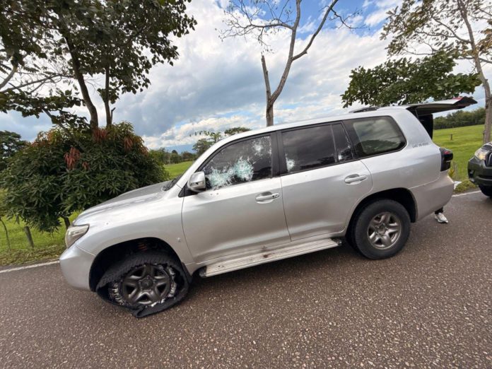 WhatsApp Image 2025-11-10 at 11.56.05 AM