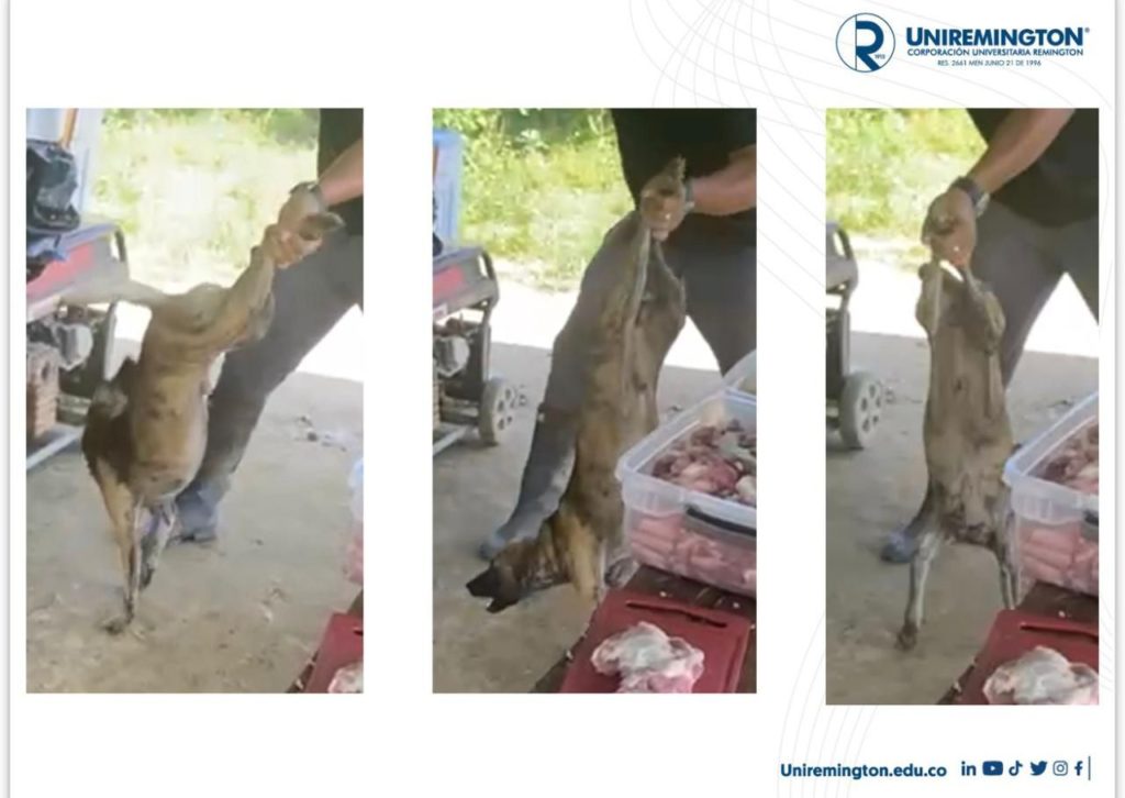 WhatsApp Image 2025 11 10 at 12.18.39 PM 1