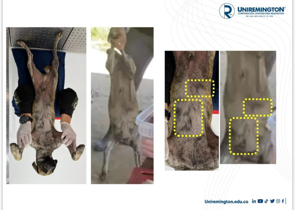 WhatsApp Image 2025 11 10 at 12.18.39 PM 2