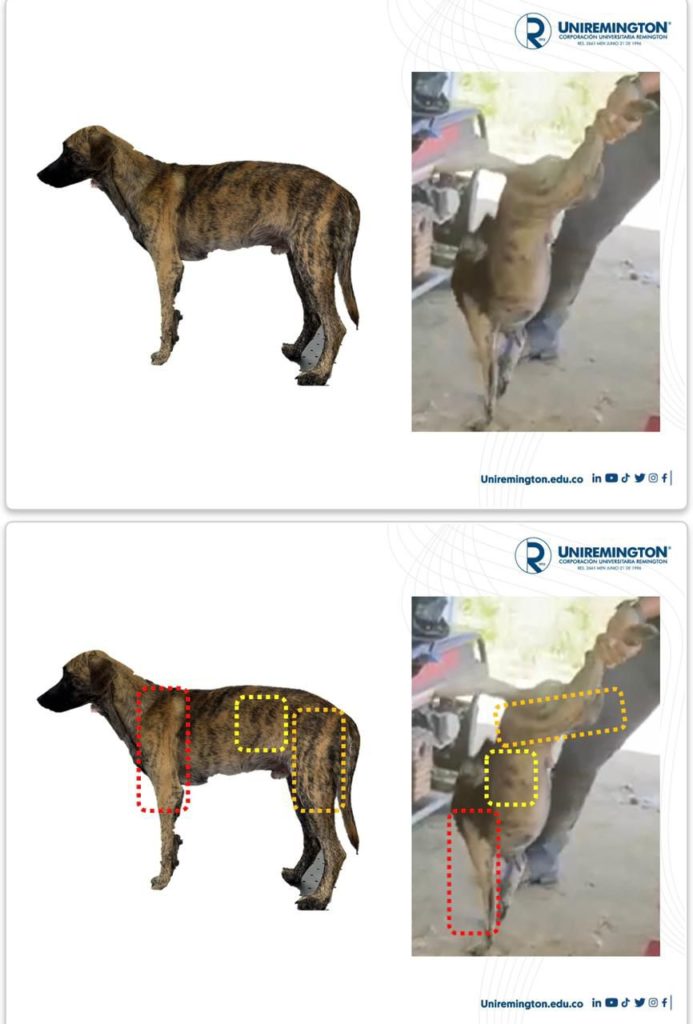 WhatsApp Image 2025 11 10 at 12.18.39 PM 3