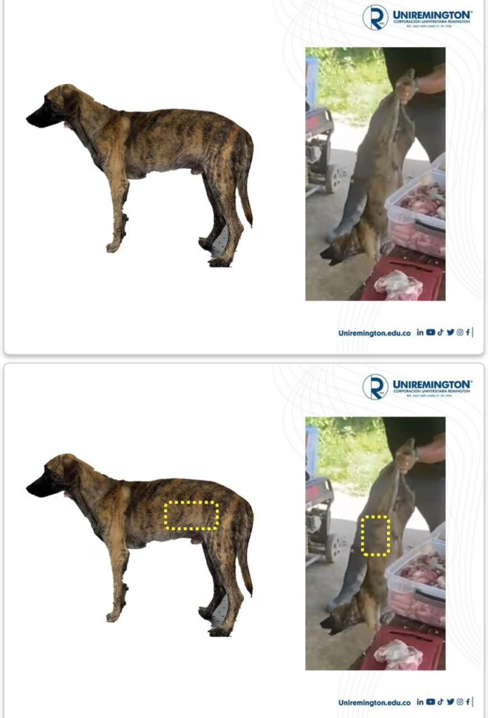 WhatsApp Image 2025 11 10 at 12.18.39 PM 4