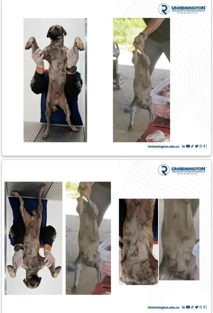 WhatsApp Image 2025 11 10 at 12.18.39 PM