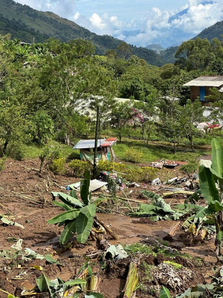 WhatsApp Image 2025 11 11 at 11.42.31 AM