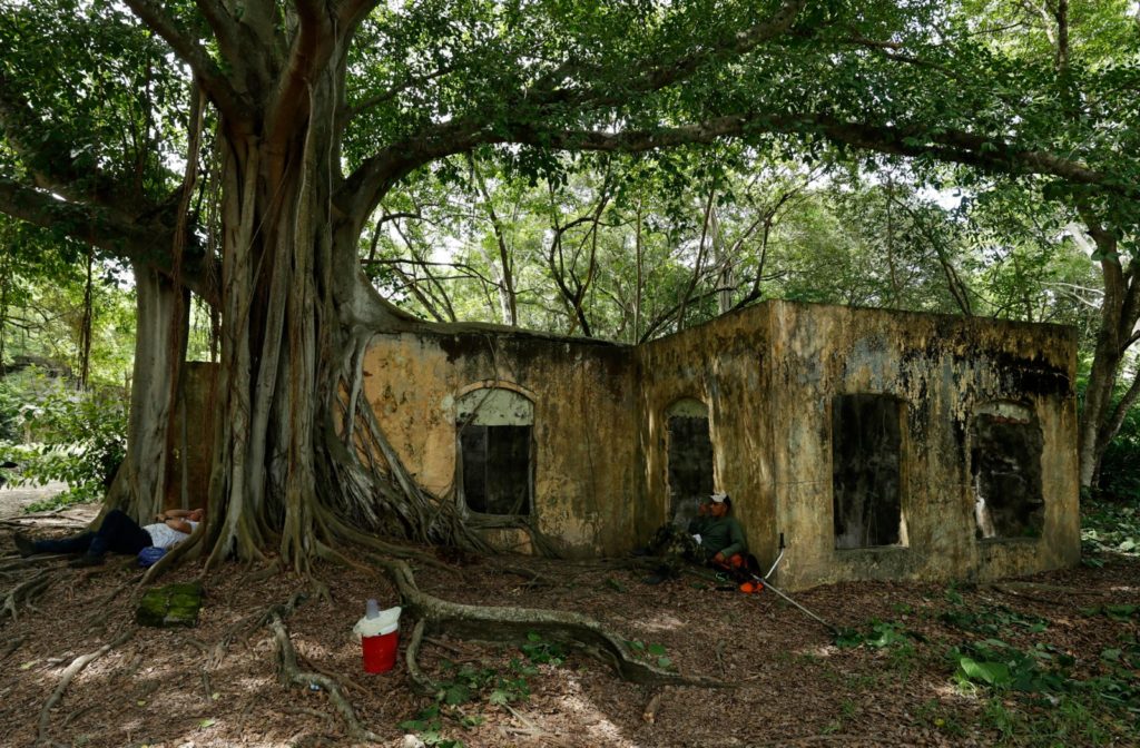 WhatsApp Image 2025 11 11 at 3.06.11 PM