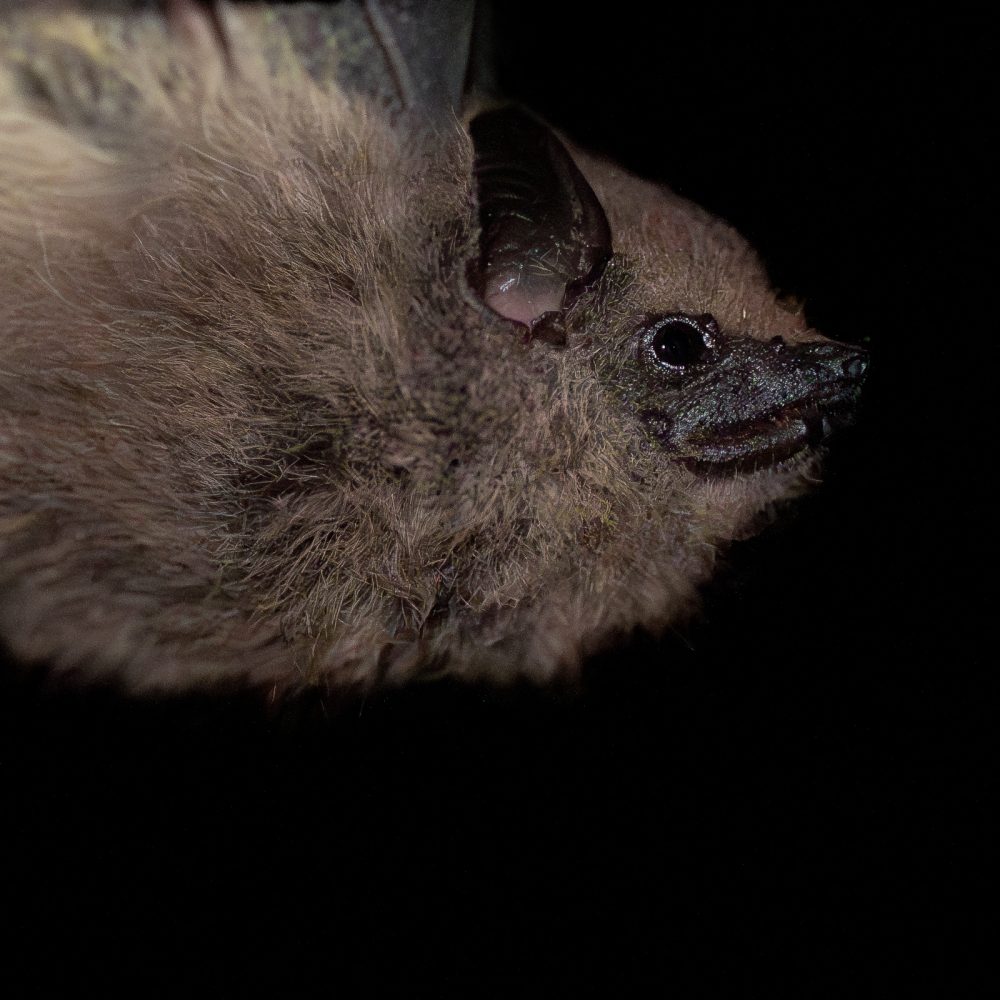 WhatsApp Image 2025 11 12 at 12.19.05 PM 2