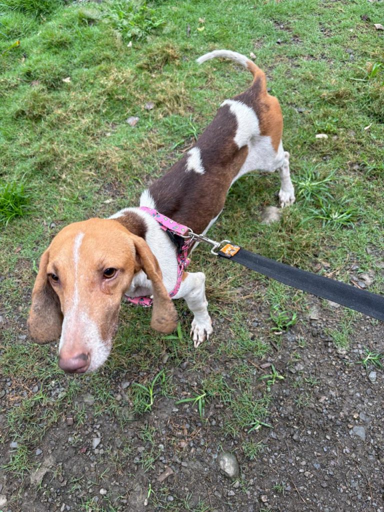 WhatsApp Image 2025 11 12 at 7.56.51 PM