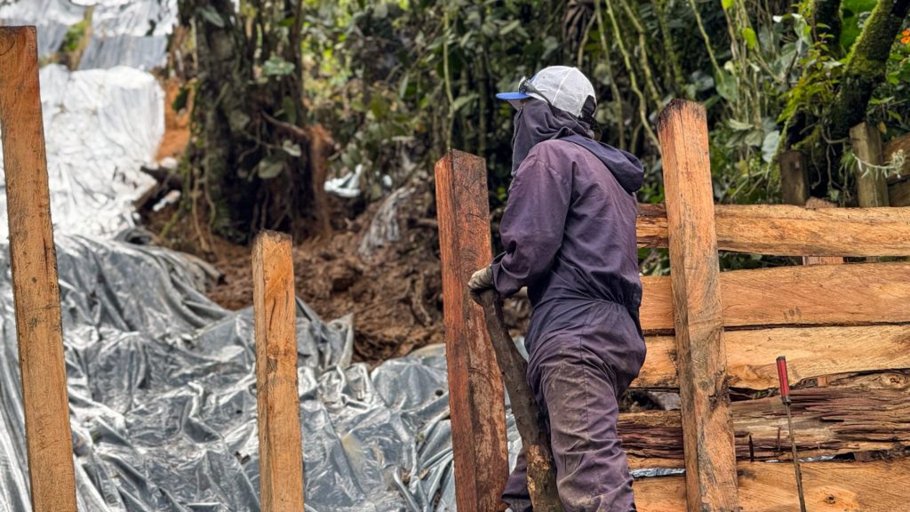 WhatsApp Image 2025 11 13 at 6.21.00 AM