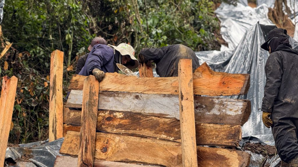 WhatsApp Image 2025 11 13 at 6.21.01 AM 1