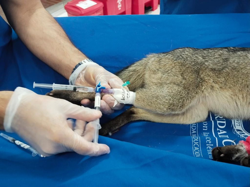 WhatsApp Image 2025 11 13 at 6.32.32 AM 2