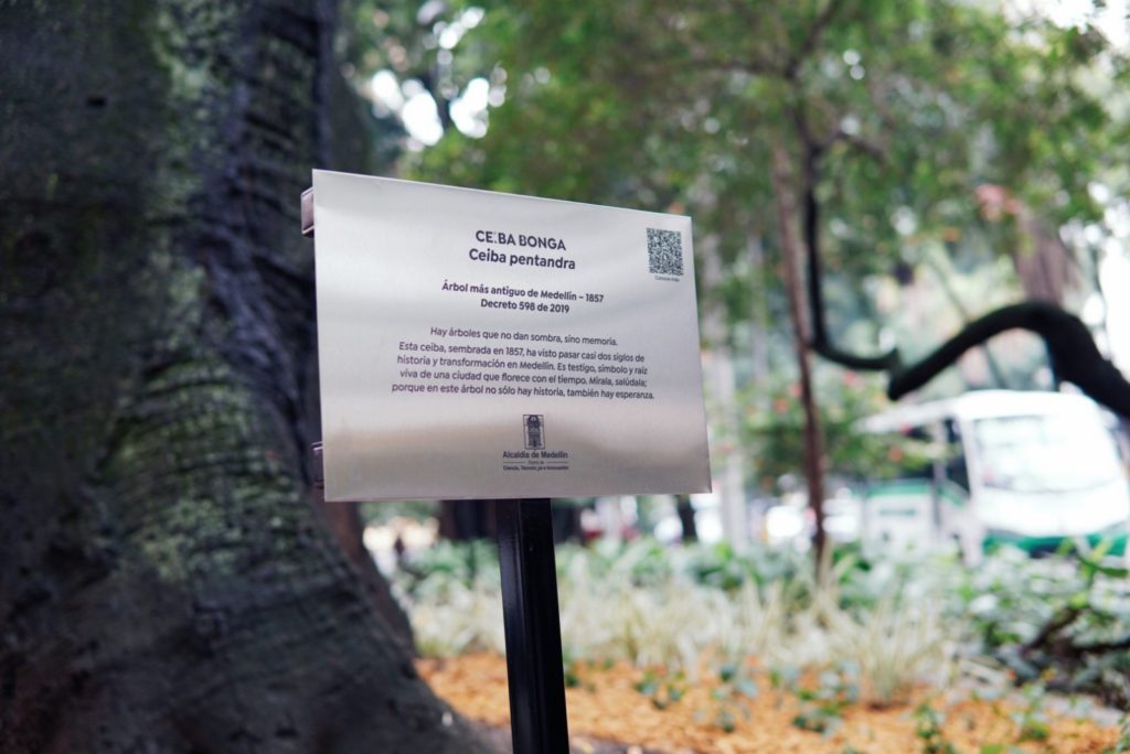 WhatsApp Image 2025 11 15 at 8.29.15 AM