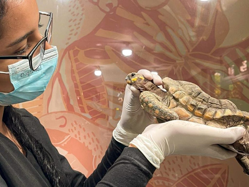 WhatsApp Image 2025 11 18 at 6.33.33 AM