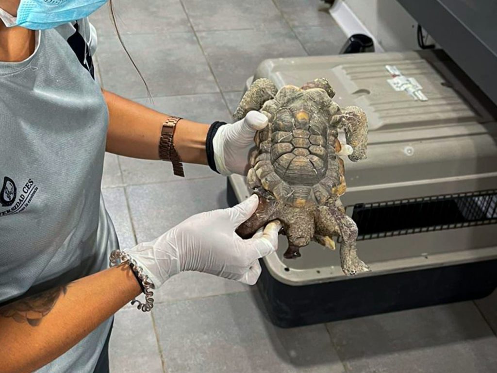 WhatsApp Image 2025 11 18 at 6.33.34 AM