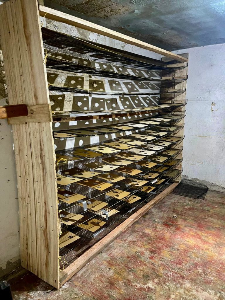 WhatsApp Image 2025 11 29 at 2.53.38 PM 4