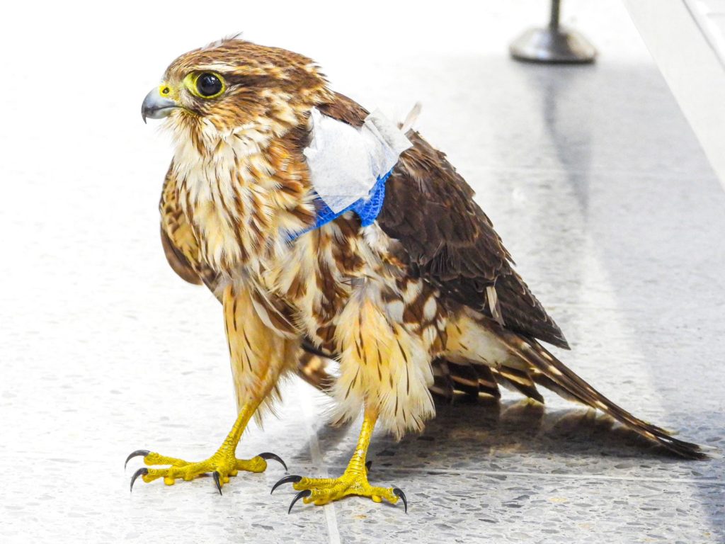 WhatsApp Image 2025 11 30 at 8.15.00 AM 1