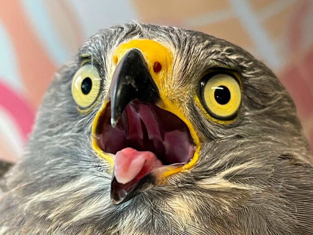 WhatsApp Image 2025 11 30 at 8.15.00 AM 2