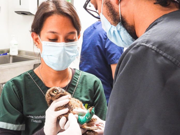 WhatsApp Image 2025-11-30 at 8.15.00 AM