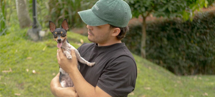 web-Alcaldía-de-Medellín-presentó-campaña-antipólvor