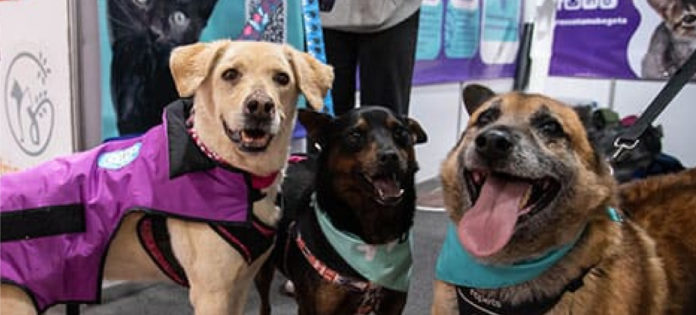 web-Expopet-llega-por-primera-vez-a-Medellín-con-una-agenda-dedica