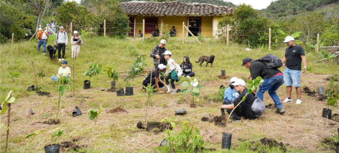 web-Rionegro-realizó-una-nueva-intervención-ambiental-con-la