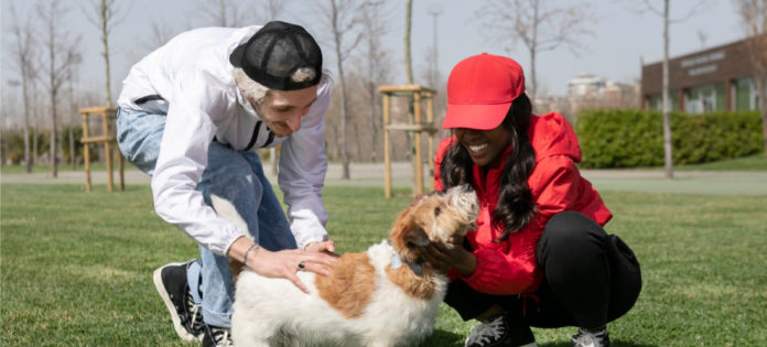 web--la-educación-en-protección-animal
