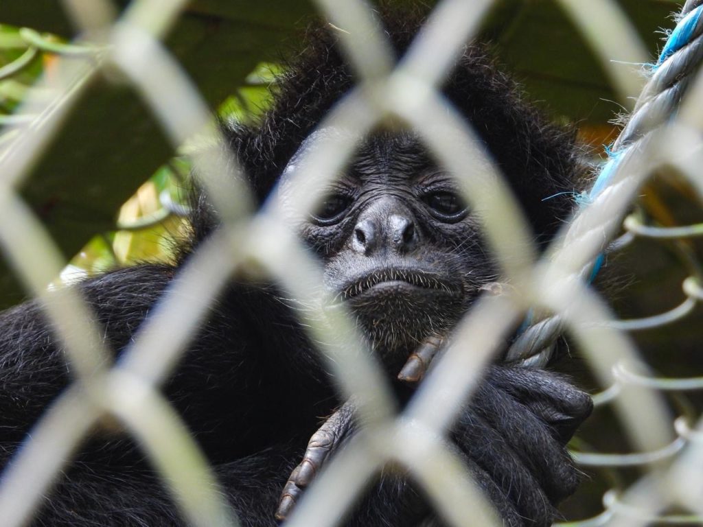 17fd02e0 8736 41d0 a79f 3e6152d2e45b