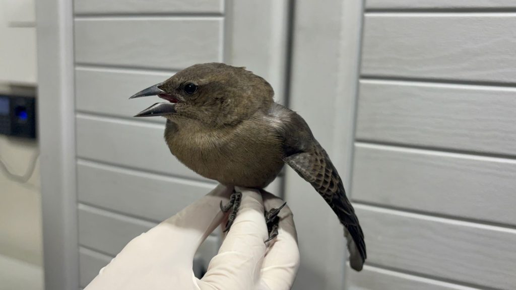 4c6900b5 f222 4f64 b38d d48c544b223b