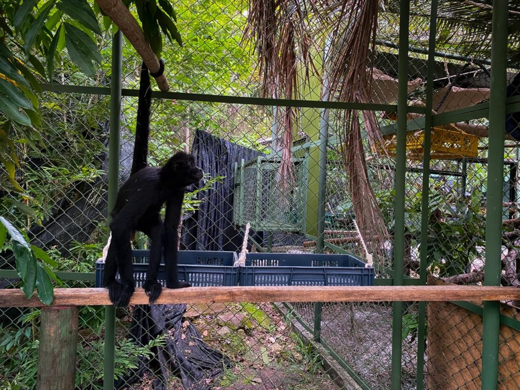 50be0dd2 9f34 4772 9b31 fd142511260c