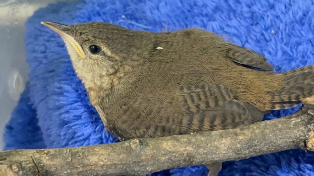 90cc53df 90fe 4d6a 814e 71c95fa39949