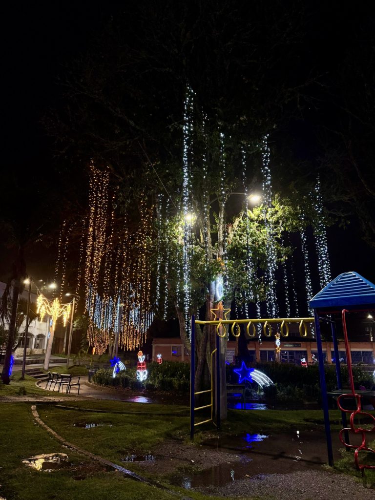 Alumbrado en Santa Elena 4