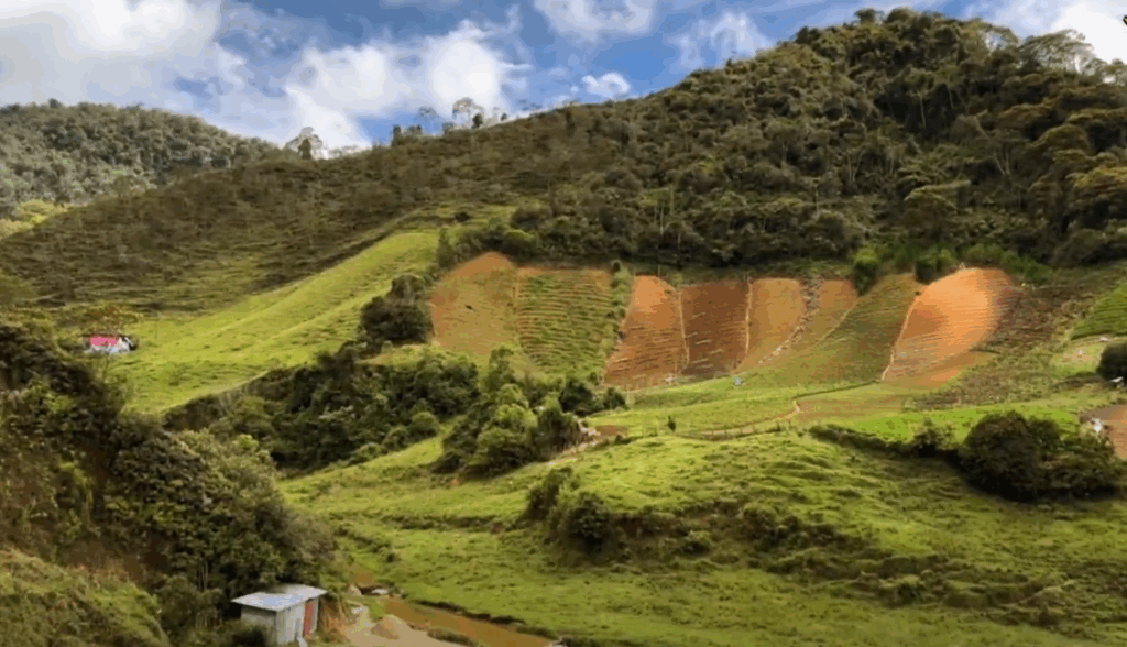 Captura de pantalla 2025 12 10 145547