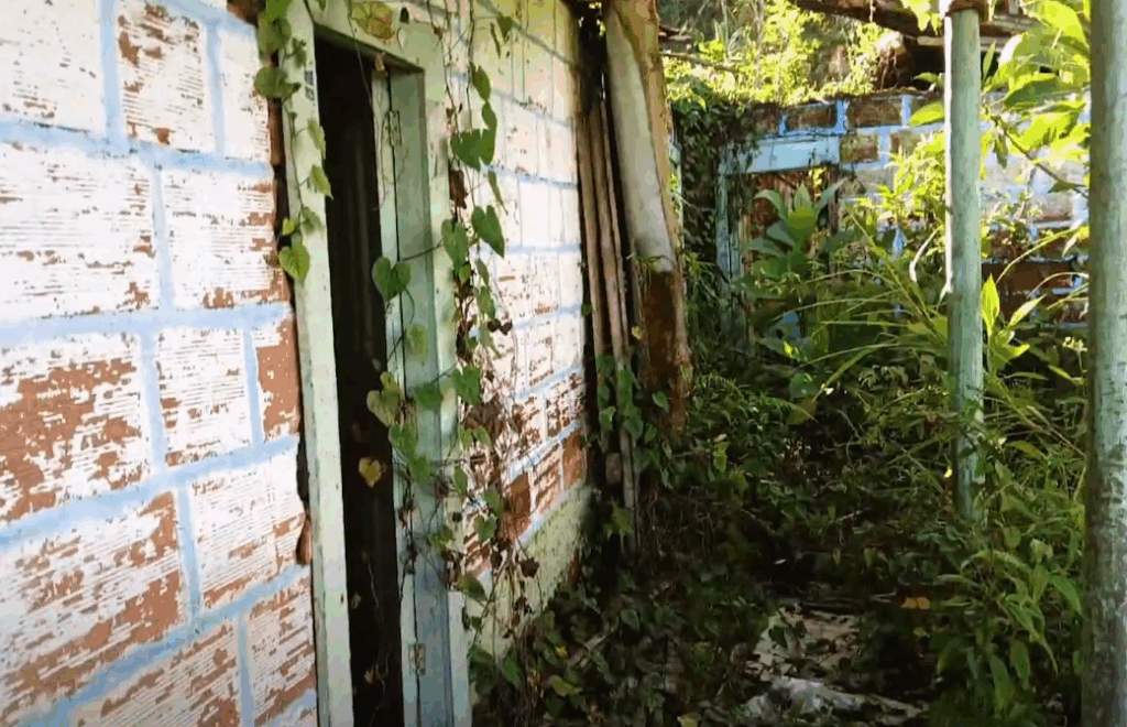 Captura de pantalla 2025 12 10 145701