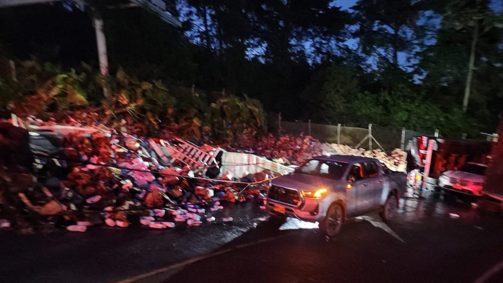 WhatsApp Image 2025 12 01 at 7.30.11 AM 1