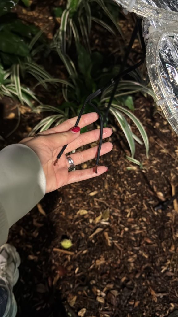 WhatsApp Image 2025 12 02 at 2.39.46 PM