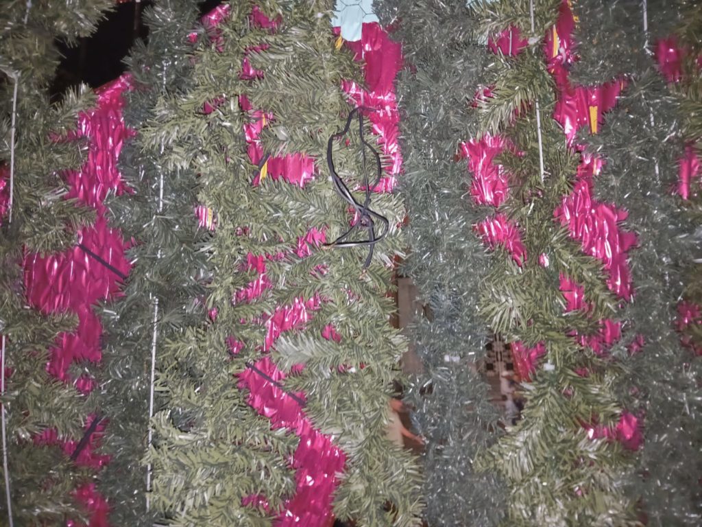 WhatsApp Image 2025 12 02 at 2.44.11 PM