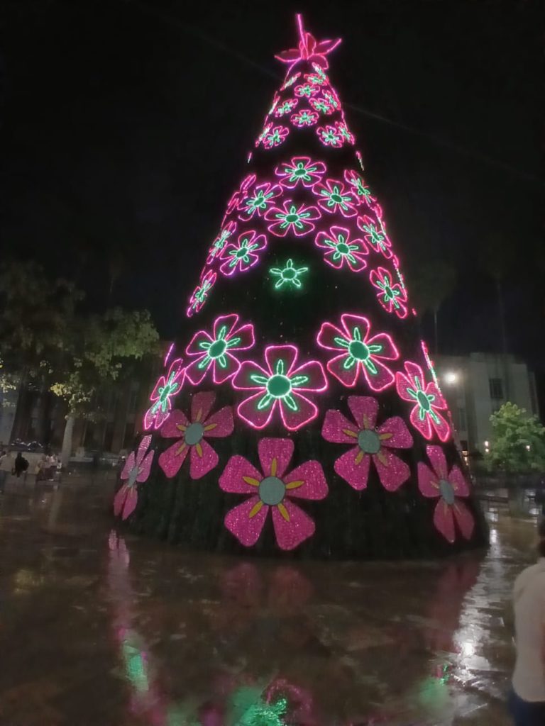 WhatsApp Image 2025 12 02 at 2.44.12 PM 1