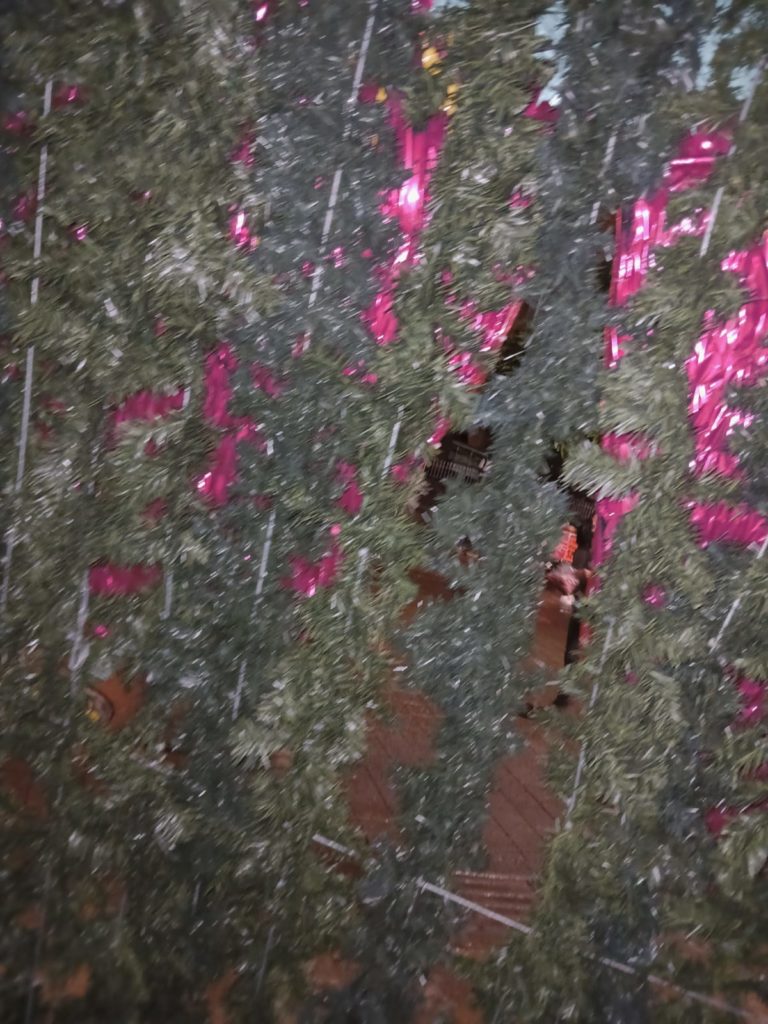 WhatsApp Image 2025 12 02 at 2.44.12 PM