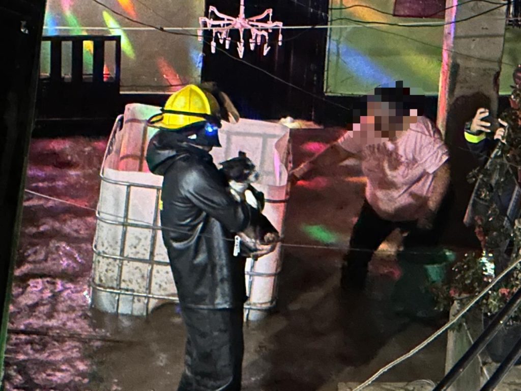 WhatsApp Image 2025 12 02 at 9.59.38 PM 2