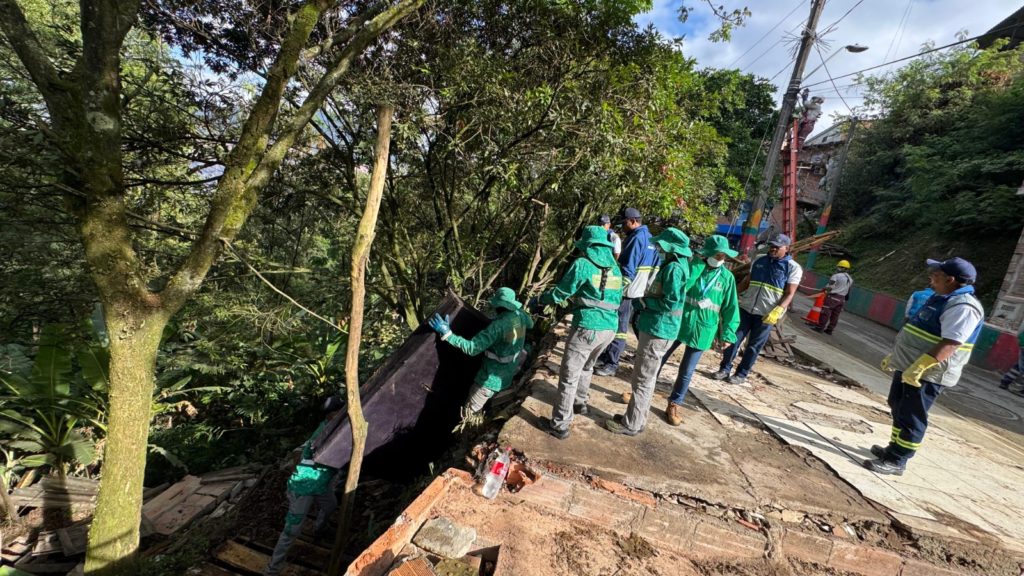 WhatsApp Image 2025 12 03 at 7.04.48 AM