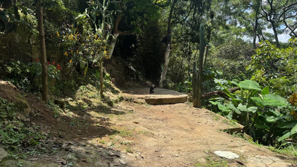 WhatsApp Image 2025 12 03 at 7.04.49 AM 3