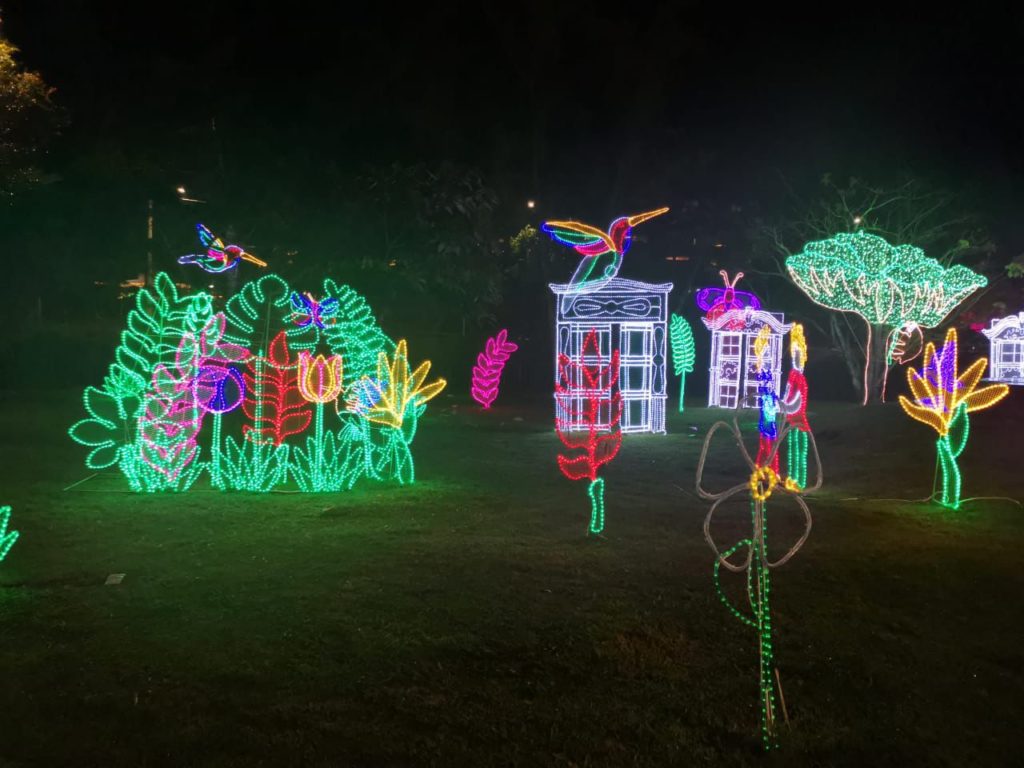 WhatsApp Image 2025 12 04 at 21.10.04