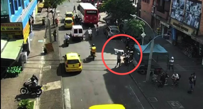 WhatsApp Image 2025-12-04 at 6.34.04 AM (1)