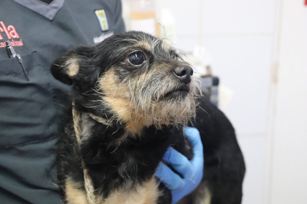 WhatsApp Image 2025 12 05 at 06.08.32