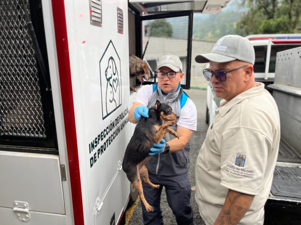 WhatsApp Image 2025 12 05 at 06.08.33