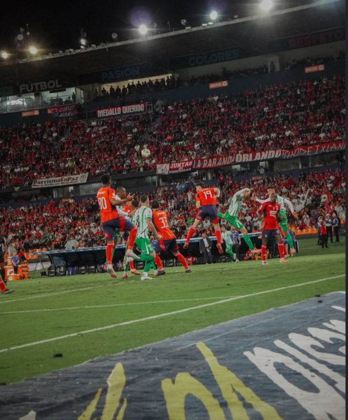 WhatsApp Image 2025-12-09 at 6.58.16 AM