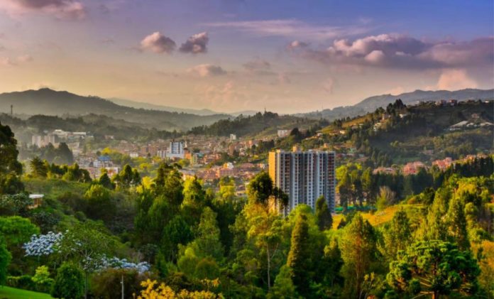 WhatsApp Image 2025-12-10 at 1.33.15 PM