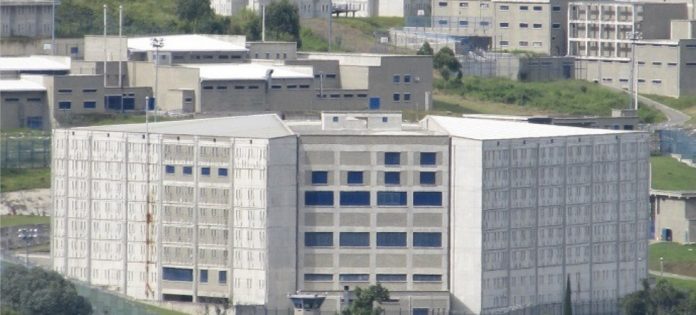 WhatsApp Image 2025-12-11 at 1.47.23 PM