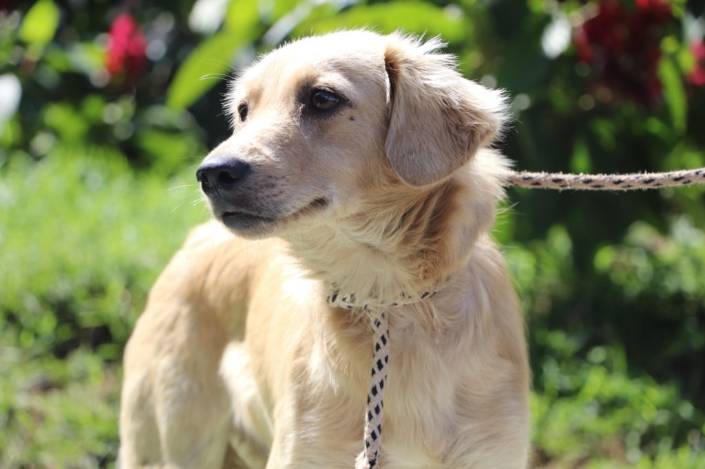 WhatsApp Image 2025 12 11 at 6.31.29 AM